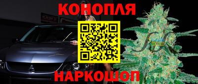 тгк Будённовск